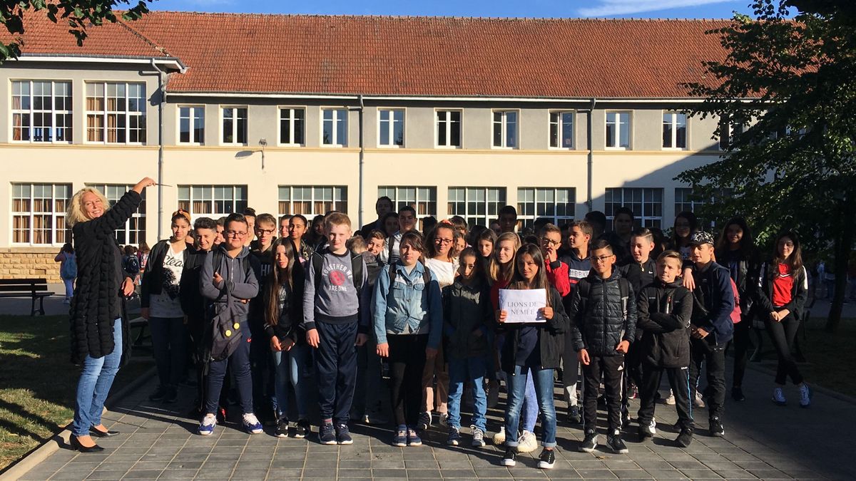 Harry Potter : PROFESSEURS ET DIRECTEURS DES MAISONS DE POUDLARD - Collège  VAL DE LOIRE