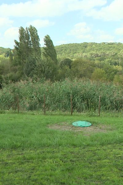 La phytoépuration traite les eaux usées par les plantes