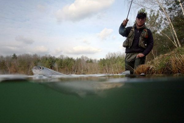 Un pêcheur à la truite