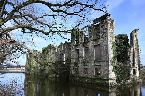 Les ruines du château de l'Etenduère aux  Herbiers, en Vendée