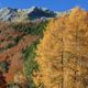 Les Pyrénées en automne offrent aux yeux un feu d'artifice de couleurs.