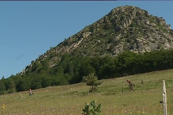 Entretien des sentiers au pied du Mont-Gerbier-de-Jonc