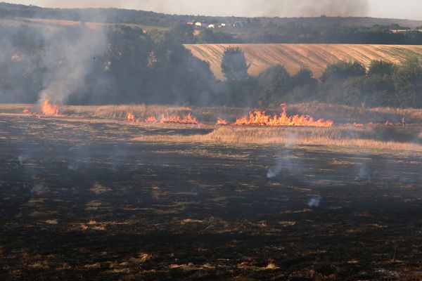 L'écobuage est une pratique agricole ancestrale qui consiste à débroussailler par le feu.