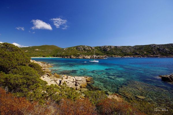 La baie de Tizzano (Corse-du-Sud)