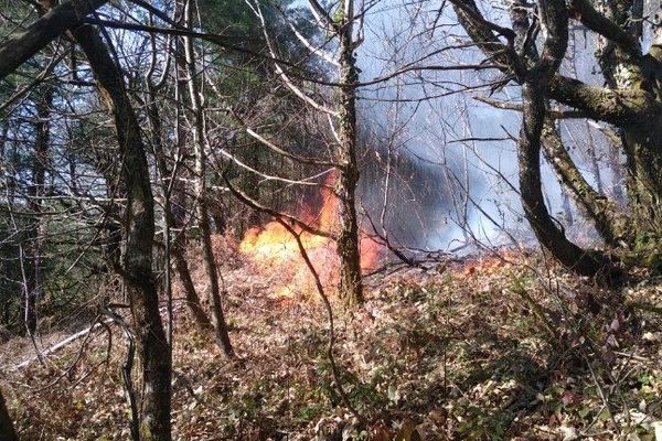 Sans doute parti d'un écobuage mal maîtrisé, ou d'un brûlage de déchets verts, le feu de Bassignac-le-Bas a mobilisé près de 50 pompiers !