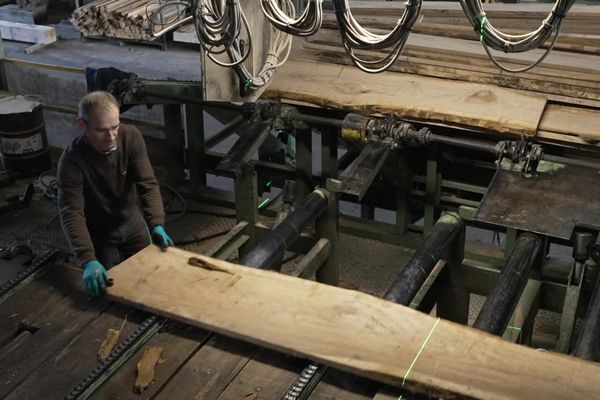 Pour la scierie Mazières, le défi de Notre-Dame de Paris était colossal. Il a fallu scier des poutres de 10 tonnes, mesurant parfois plus de 12 mètres de long.  