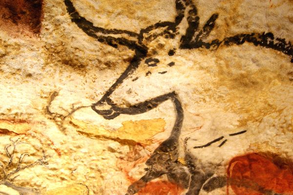 Les ornements de Lascaux ont été reproduits dans Lascaux 2, le fac-similé ouvert en 1983