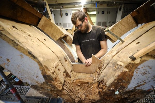 Un charpentier de l'entreprise Asselin participe au chantier de réparation de la réplique de la frégate l'Hermione de La Fayette actuellement en cale-sèche au port d'Anglet (64) après la découverte d'un champignon.