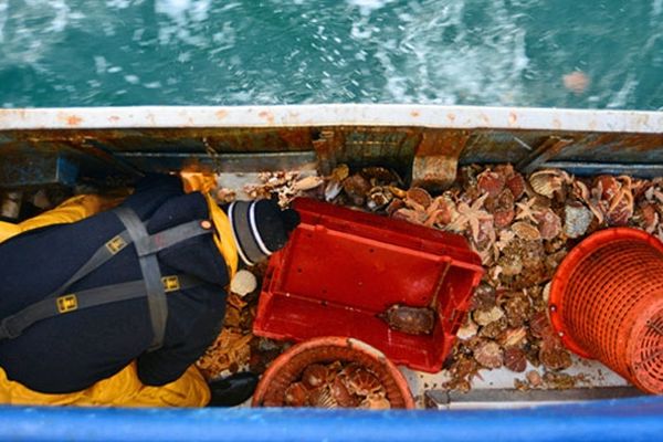 Point de vue entre les flots et le coquillard à bord de "la cigogne"