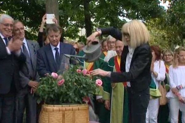 Mireille Darc en train de baptiser au champagne la rose qui porte son nom. 