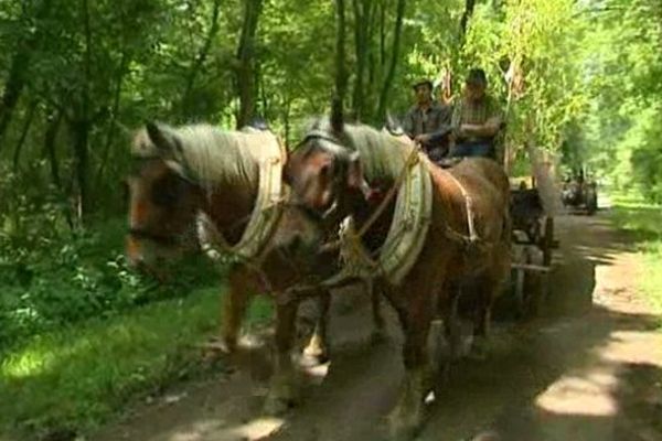 Le cortège a fait une dizaine de haltes dans les villages au bord du Rhin