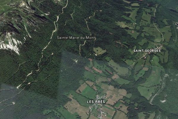 Les chiens s'étaient égarés au dessus de Sainte-Marie-du-Mont, dans le massif de la Chartreuse.