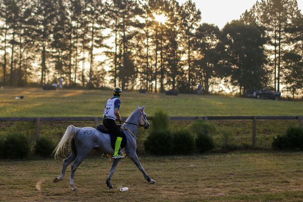 Compétition d'endurance aux Jeux Équestres Mondiaux à Tryon (USA)