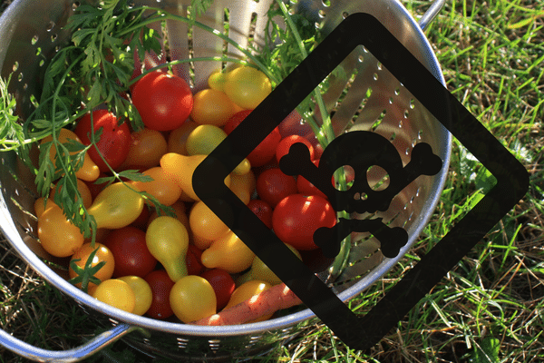 Dans cette commune d'Indre-et-Loire on ne peut plus consommer les légumes de son jardin.