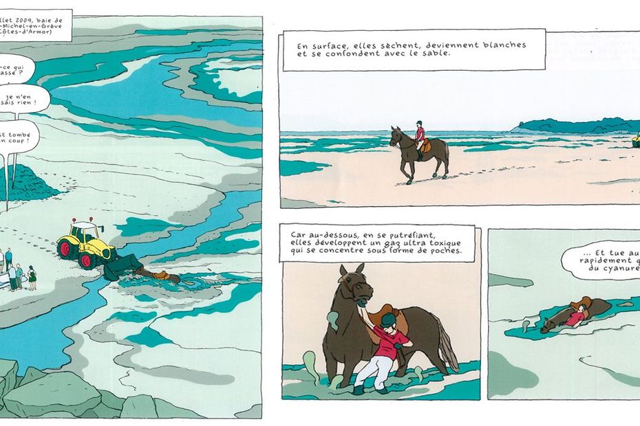 Algues Vertes : "l'histoire Interdite" Racontée En Bande Dessinée