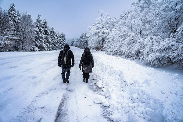 Des chutes de neige la semaine dernière et vendredi ont permis l'ouverture de quelques pistes de ski alpin, une de ski de fond à la station d'Alti Aigoual dans les Cévennes gardoises. ( Photo d'illustration)