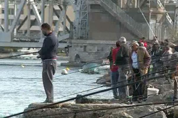 La tradition de la pêche à la daurade est en danger à Sète – 20 octobre 2015