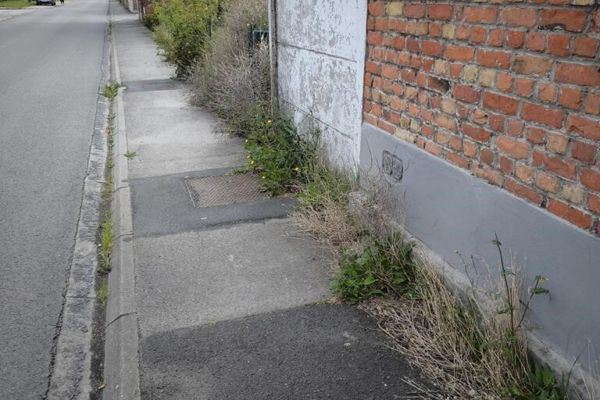 Une rue dans Merville avec, effectivement, des mauvaises herbes.