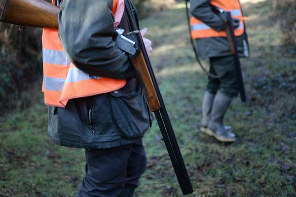 Deux chasseurs tiennent leurs fusils chargés ouverts pour leur sécurité lors d'une chasse au gros gibier. La France compte 1,3 million de chasseurs.