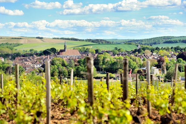 Le vignoble de Chablis dans l'Yonne (image d'illustration), meteo, soleil, chaleur, ete