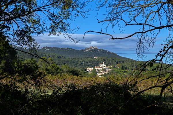 Plus un enfant habite à proximité d’une grande parcelle de vignes, plus ses probabilités de développer une leucémie est élevée. Un nouveau lien entre santé et pesticides dévoilé par une étude de l’Inserm.