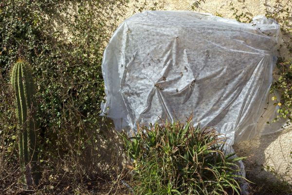 Face aux gelées qui sont annoncées en Auvergne, les potagers doivent être protégés. (Photo d'illustration)