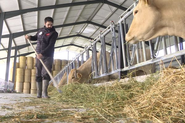 A l'appel de la FDSEA et des Jeunes agriculteurs du Tarn, les agriculteurs vont manifester dans les rues d'Albi ce mardi 14 novembre 2023.