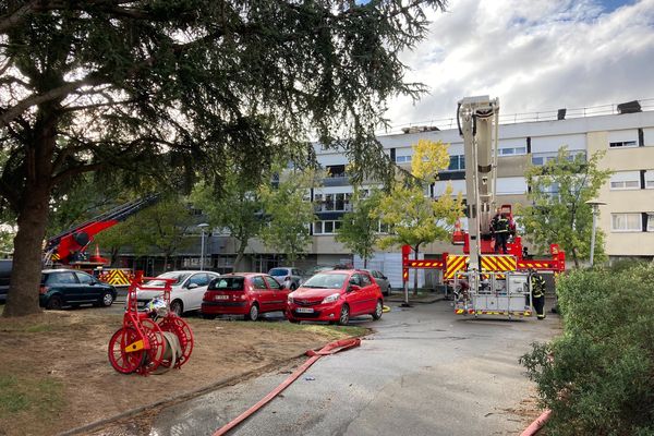 une trentaine de pompiers sont à pied d'ouevre pour maitrise l'incendie