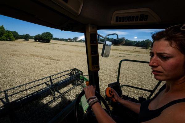 Sur son exploitation de Saint-Secondin, dans la Vienne, Caroline Meriot moissonne son blé, le 09 juillet 2024.