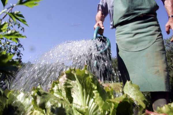 La préfecture de la Vienne ordonne des restrictions de l'usage de l'eau pour les particuliers