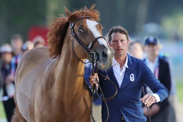 Kevin Staut et Viking d'la Rousserie lors de l'inspection vétérinaire aux Jeux olympiques de Paris