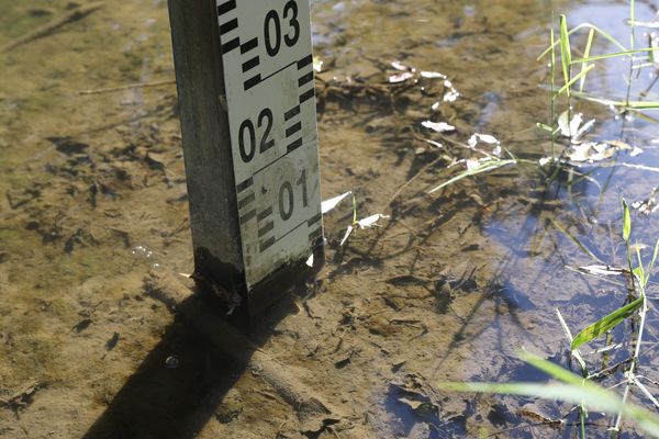 Malgré les pluies tombées ces dernières semaines, la sécheresse guette les nappes phréatiques alsaciennes pour l'été 2023