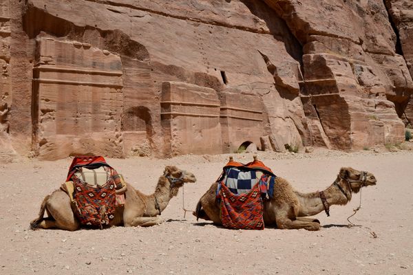 De nombreux voyageurs préfèrent annuler leur séjour en Jordanie ou en Egypte dans le contexte des tensions israélo-palestinienne et de menace terroriste.