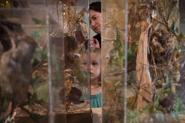 Les musées de Clermont-Ferrand multiplient les animations pour les enfants pendant les vacances de Noël.