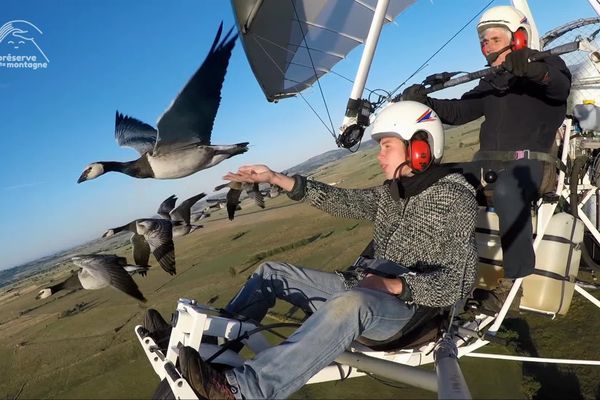 Christian Moullec ou l’histoire d’une passion pour les oiseaux.