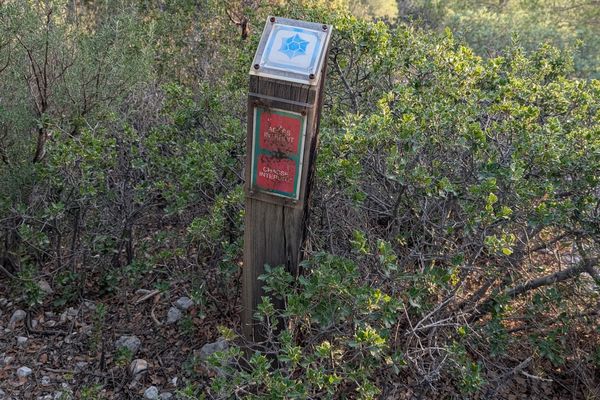 La maîtresse du chien se promenait sur un chemin de la Sainte-Victoire, interdit à la chasse, ce vendredi 1er novembre.