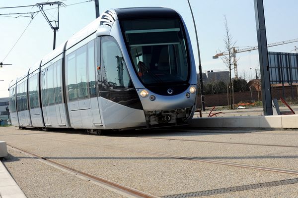 Du 25 juillet au 16 août inclus, les deux lignes de tram sont suspendues.