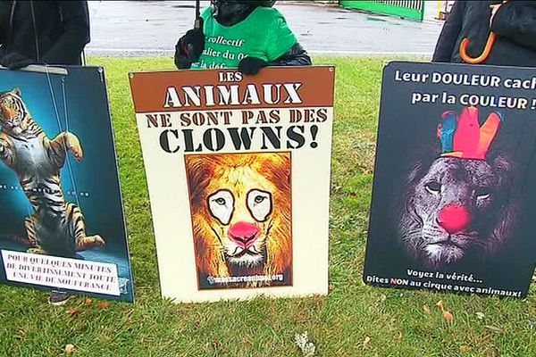 Les manifestants militent pour des cirques sans animaux, Nice, 10 décembre 2017