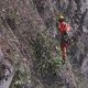 D'importants travaux d'entretien et de sécurisation ont débuté sur la route des gorges de l'Arly, fermée pour plusieurs semaines.