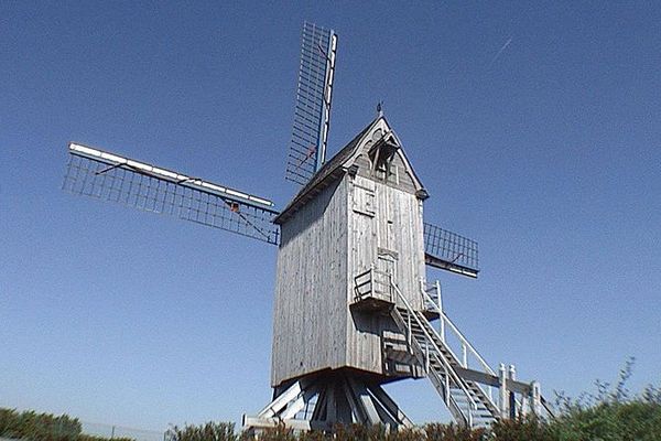 Moulin à vent le Spinnewyn d'Hondschoote. 