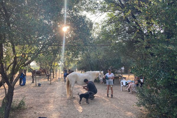 À St Brès, un lieu de refuge pour les chevaux maltraités. Jeudi 11 juillet 2024.