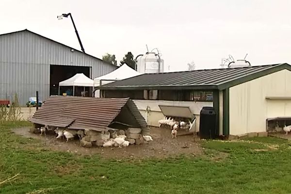 L'exploitation avicole Poul'et Compagnie à côté de Fenay (Côte-d'Or), à Saulon-la-Chapelle