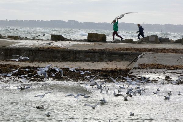 Larmor-Plage