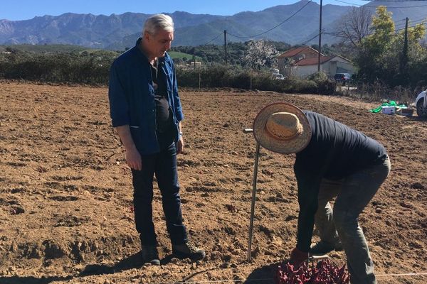 À Peri, des vignes cultivées à l'ancienne et bio vont pousser sur une parcelle de 3 000 mètres carrés. 