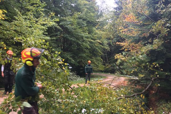 Les agents de l'ONF sont à pied d'oeuvre dans la forêt des Colettes dans l'Allier depuis l'épisode neigeux.