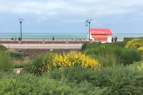 Des cabanes de lecture au bord de l'eau