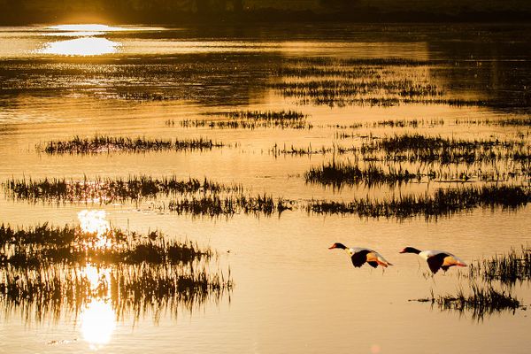 Reflets sur la Ria d'Etel... Pointe du Gouarde - Nostang - Morbihan