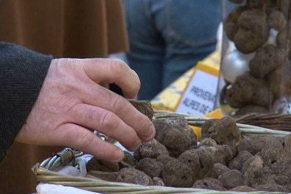 L'or noir en baisse cette année à Ménerbes