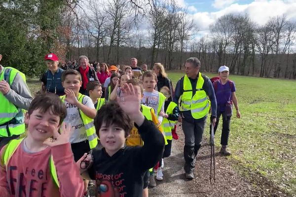 Des randonneurs en herbe, et en forêt