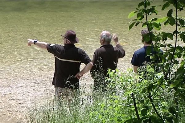 Nouvelle mortalité de truites dans la Bienne